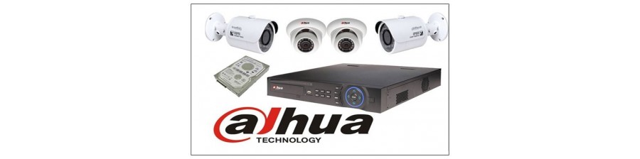 Pack CCTV 4 caméras IP Megapixels 