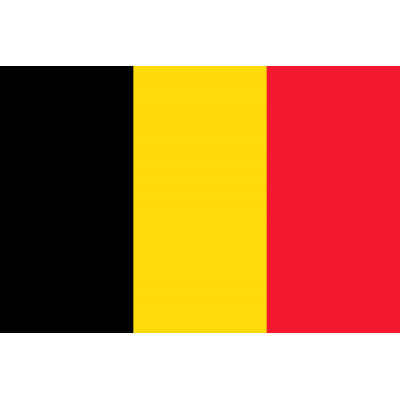 SpiderNet Klein model